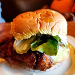 Cat & Cloud Coffee - Nashville Chicken