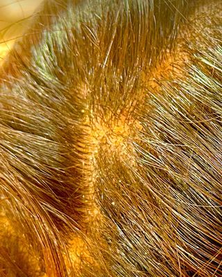 Blessed Land Dominican Hair Salon