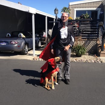 CarMax - The Miata is in the carport behind us, dressed as dos diablos for Halloween! - Used Car Dealers Near Me - Costa Mesa, California