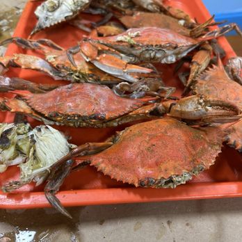 Fat Boys Crab House - "Large " Crabs - Seafood Near Me - Crofton, Maryland
