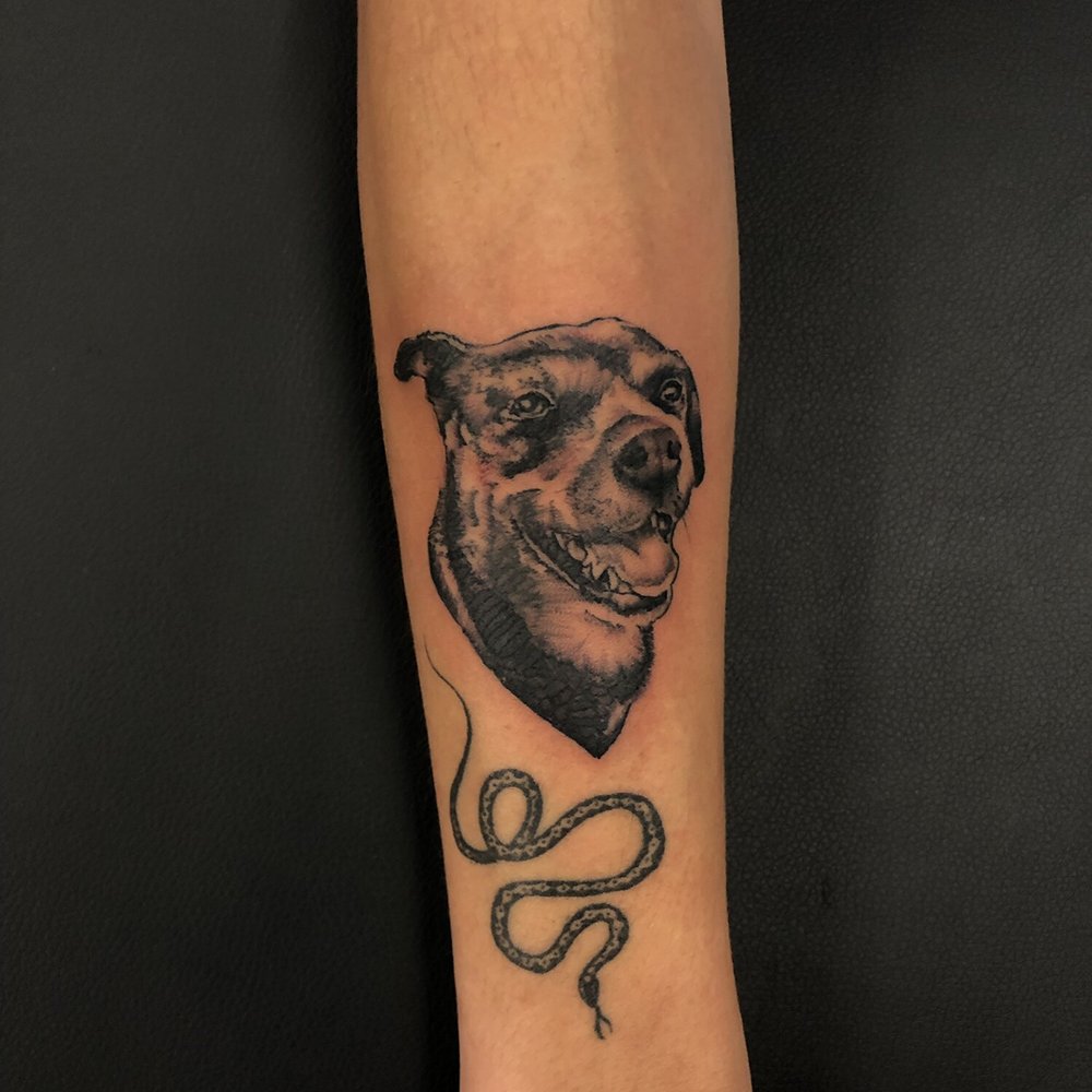 He did the dog He did the dog