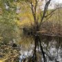 Photo of South Kingstown Land Trust Sculpture Park/Trail