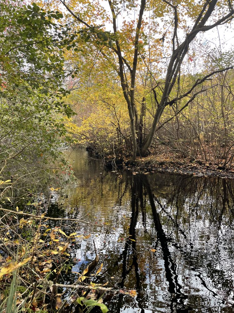 SOUTH KINGSTOWN LAND TRUST SCULPTURE PARK/TRAIL Updated September