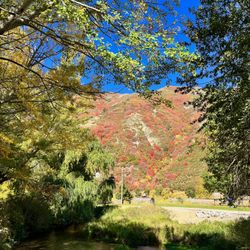 Vivian Park - So much fall foliage!! -- 10.10.2022