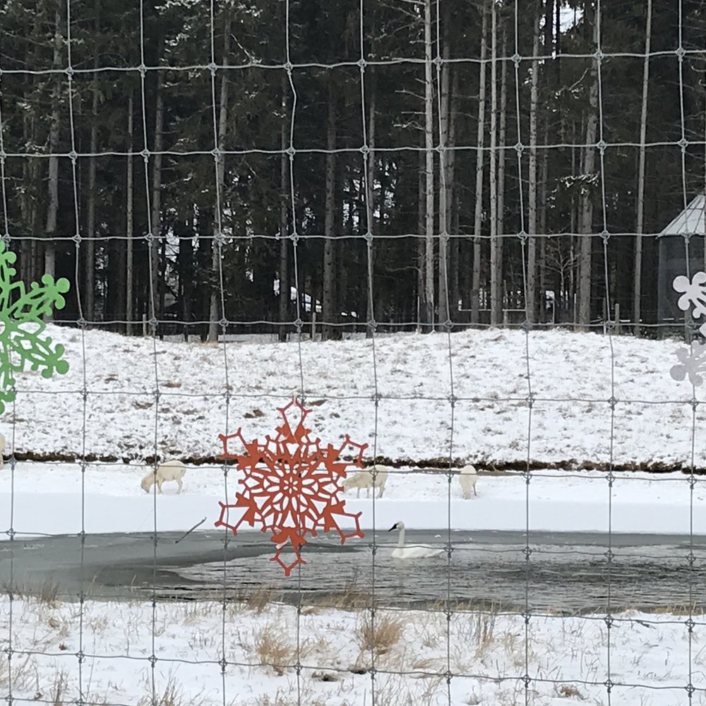 Shalom Wildlife Sanctuary - Parks Near Me - West Bend, Wisconsin