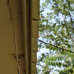 Whitlock Roofing