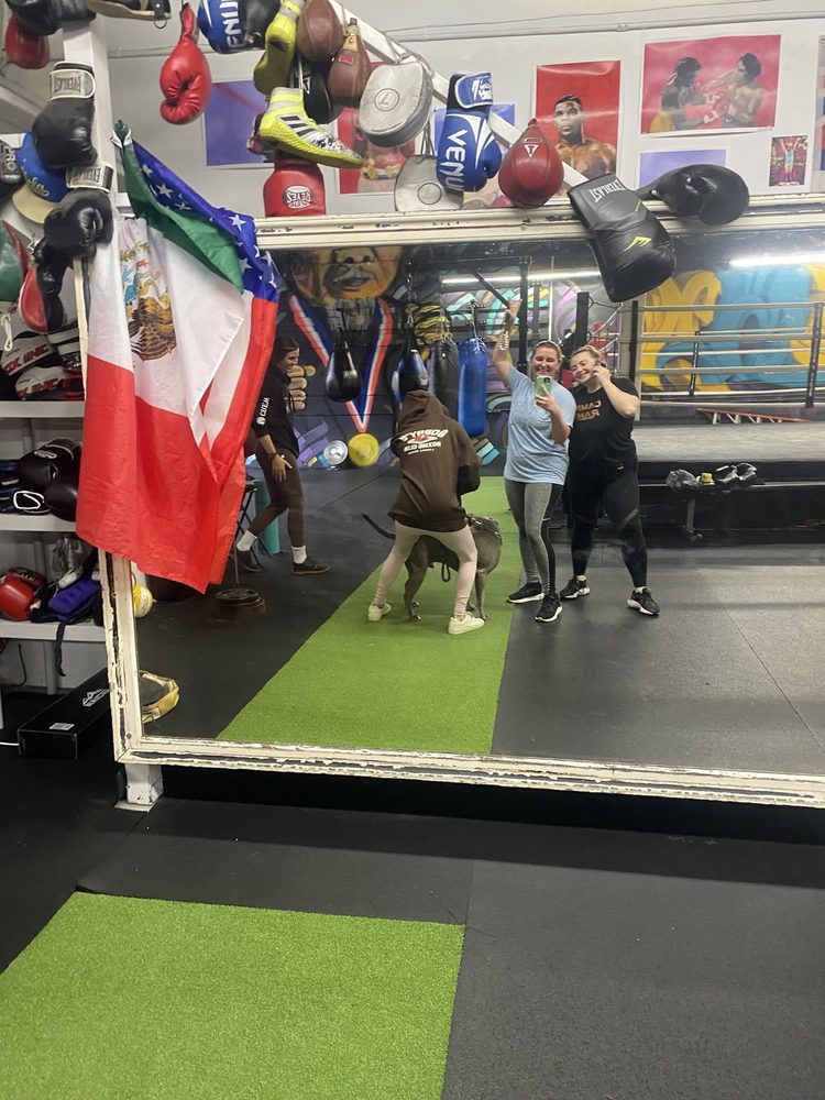 Bobbys Boxing and Fitness Logo