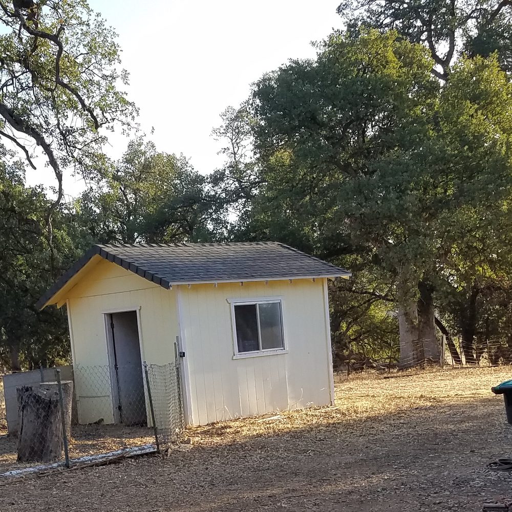 Lovell Tree Service - After tree removed and other tree trimmed - Tree Services Near Me Lovell Tree Service - After tree removed and other tree trimmed - Tree Services Near Me