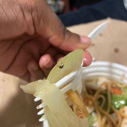 Panda House - The fly that was in my food