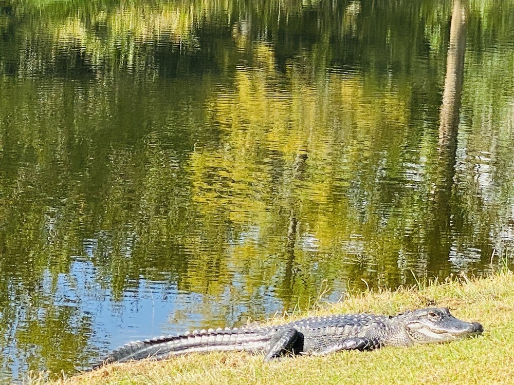 PRESERVE GOLF CLUB AT TARA Updated September 2024 13 Reviews 7310