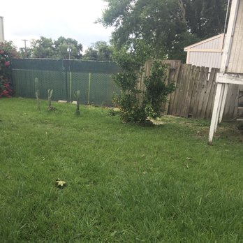 Aldine Tree Services Houston Stump Grinding - After tree removal - Tree Services Near Me - Houston, Texas Aldine Tree Services Houston Stump Grinding - After tree removal - Tree Services Near Me - Houston, Texas