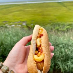 LouDogs