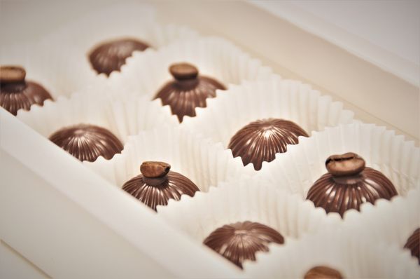 Ecuadorian Chocolate Factory by null