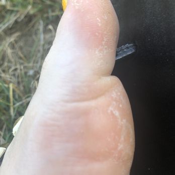Hollywood Nails & Spa - :/ callous not removed - Waxing Near Me - Portland, Oregon