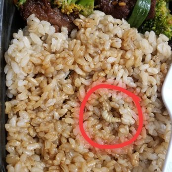 P.F. Chang's - Maggot - Chinese Near Me - Princeton, New Jersey