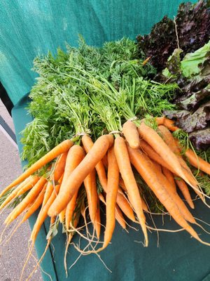 State Street Farmers Market by null