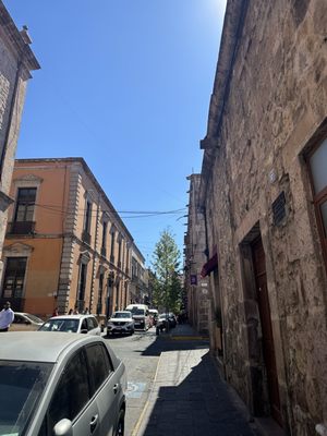 Museo Regional Michoacano, Dr. Nicolás León Calderón by null