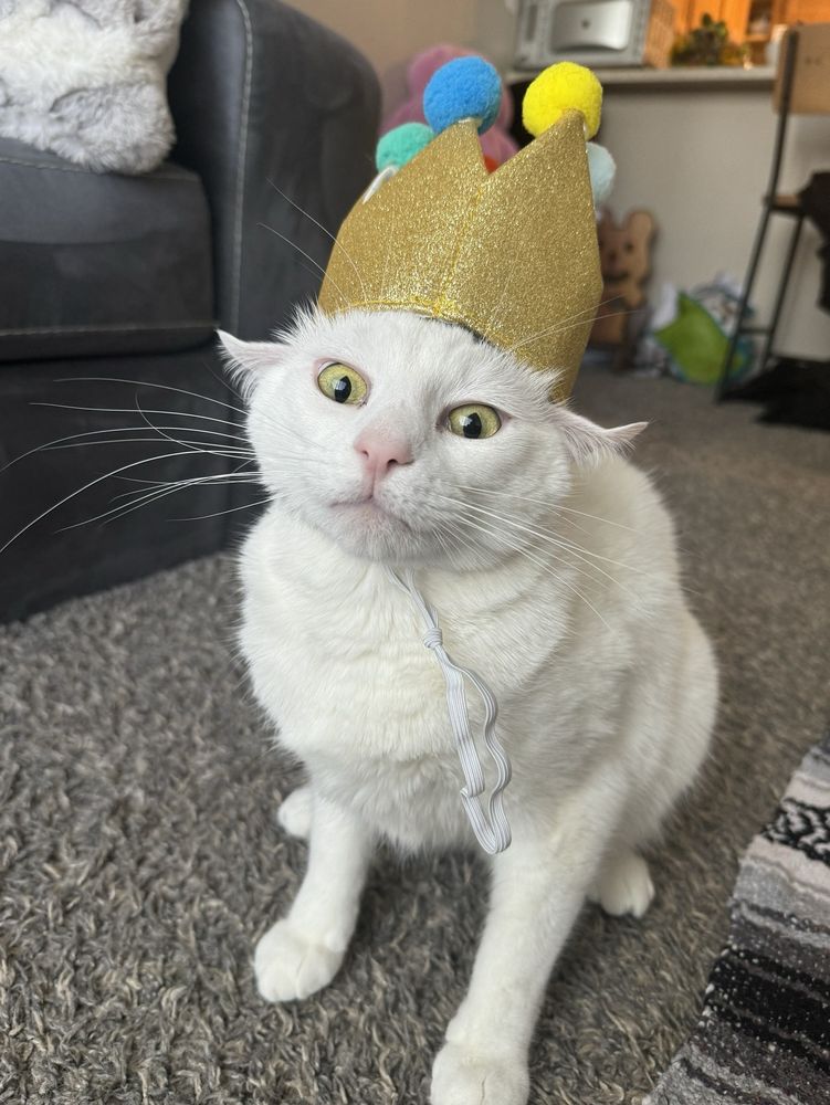 NurtureNHand Tutoring and Behavior Coaching - reading tutor in Rohnert Park, CA