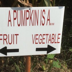 Sand Mountain Pumpkin Patch and Corn Maze - Sign clues inside the corn maze