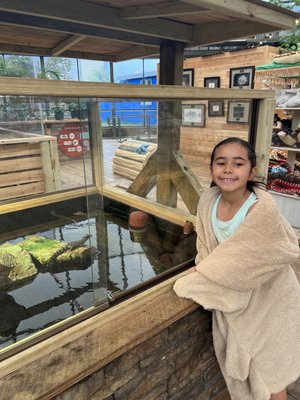 Shreveport Aquarium by null