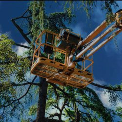 Integrity Tree - We have what it takes to get the job done the rite way.