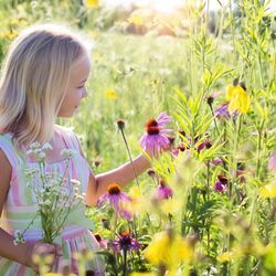 Springfield Clinic Peoria Allergy & Asthma