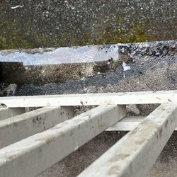 Trestle Community Management - Damage, pooling water, mold