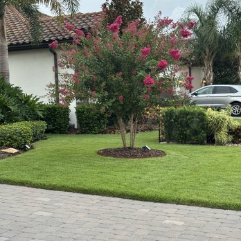 Bayside Sod - Beautiful, soft, weed and bug free grass. My grandkids love it! Communication and follow-up was excellent! Thank you Bayside Sod! - Landscaping Near Me - Bradenton, Florida Bayside Sod - Beautiful, soft, weed and bug free grass. My grandkids love it! Communication and follow-up was excellent! Thank you Bayside Sod! - Landscaping Near Me - Bradenton, Florida