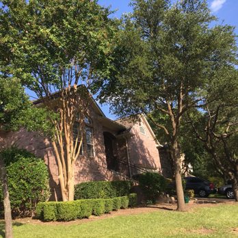 Affordable Tree Trimming - Tree Services Near Me - Austin, Texas