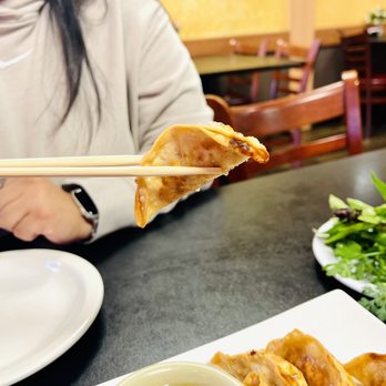 Pho Tommy 1 - 7. Seven Piece Pork Dumpling - Vietnamese Near Me - San Antonio, Texas Pho Tommy 1 - 7. Seven Piece Pork Dumpling - Vietnamese Near Me - San Antonio, Texas