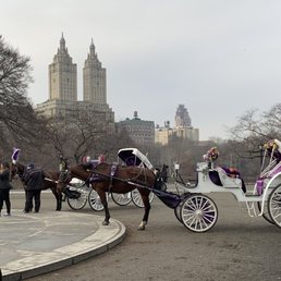 Horse-drawn Carriages Horse-drawn Carriages
