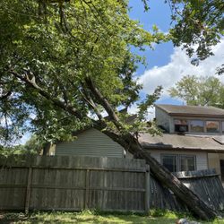 Luxury Tree Service And Landscape