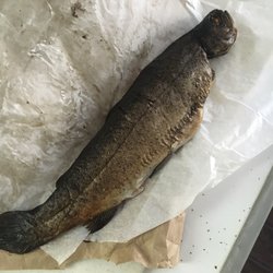 Lenny Bee Productions - One smoked trout