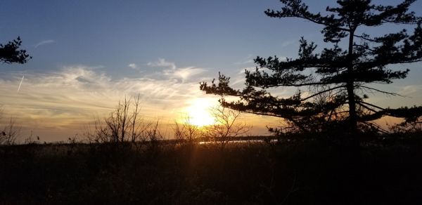 Jamaica Bay Wildlife Refuge by null