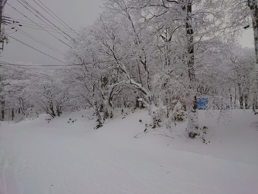 Zao Onsen Ski Resort by null