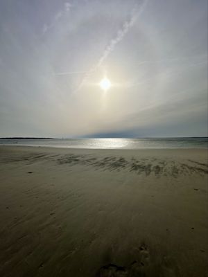 Greenwich Point Park by null