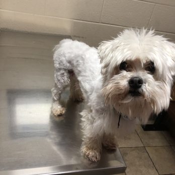 Petco - Pet Stores Near Me - Murfreesboro, Tennessee