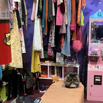 Catnip Coalition Vintage Mall - Hats Near Me - Burbank, California