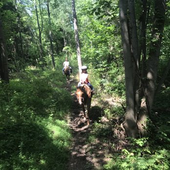 Cedar Ridge Farm - Horseback Riding Near Me - Scottsville, Kentucky Cedar Ridge Farm - Horseback Riding Near Me - Scottsville, Kentucky