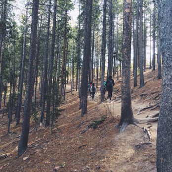 Lower Maxwell Falls Trail Head - Hiking Near Me - Evergreen, Colorado