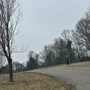 Hounz Lane Park