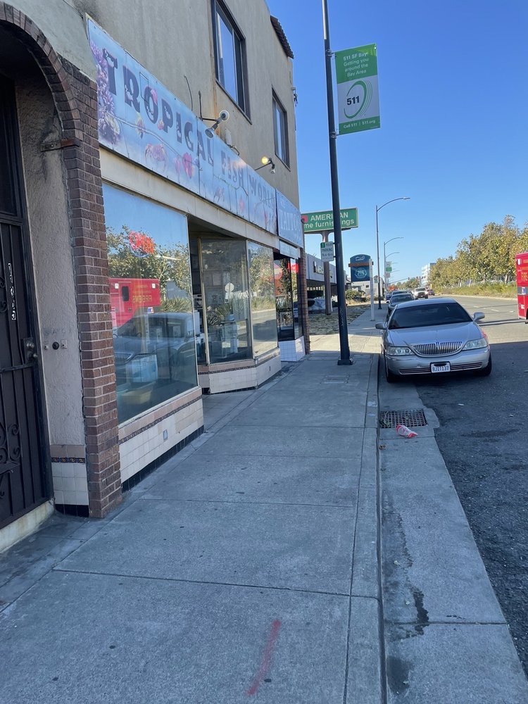 TROPICAL FISH WORLD Updated August 2024 54 Photos & 95 Reviews