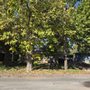Photo of O M W Landscaping