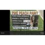 Pine Peach Paint