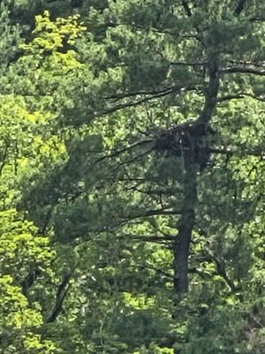 Potomac Eagle Scenic Railroad by null
