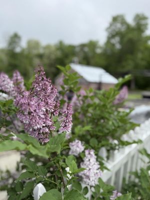Bike House Brewing by null