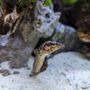 Photo of Pet World