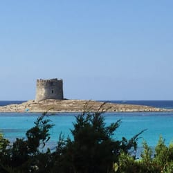 Bar I Ginepri