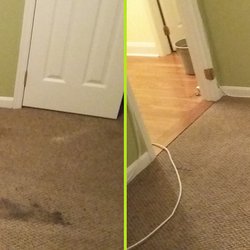 The Mean Green Carpet Clean