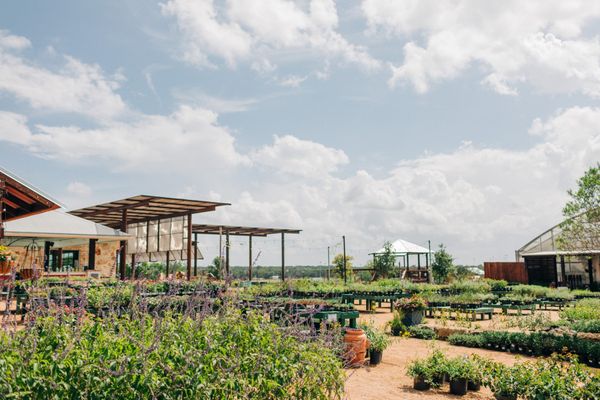 Spring Creek Gardens